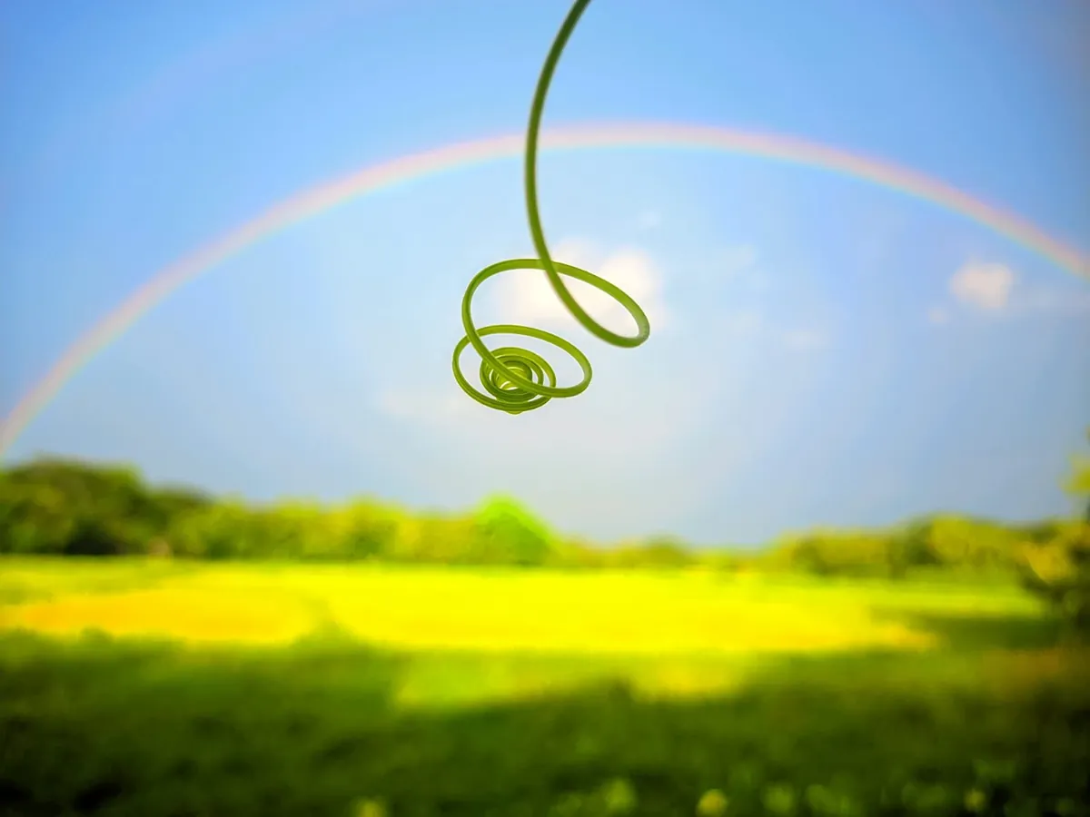 A green tendril curling under a rainbow over a field